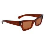 Load image into Gallery viewer, Ferragamo Brown Acetate Sunglasses