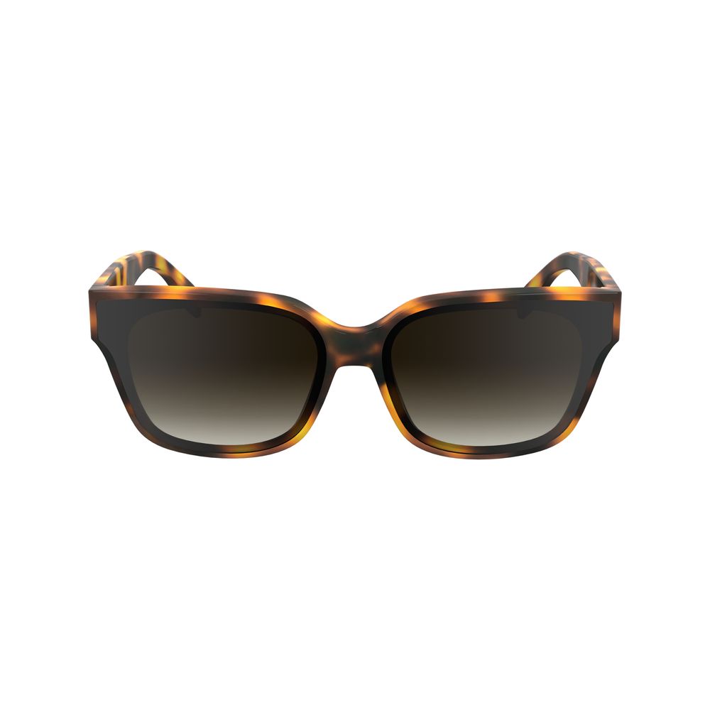 Karl lagerfeld brown acetate sunglasses