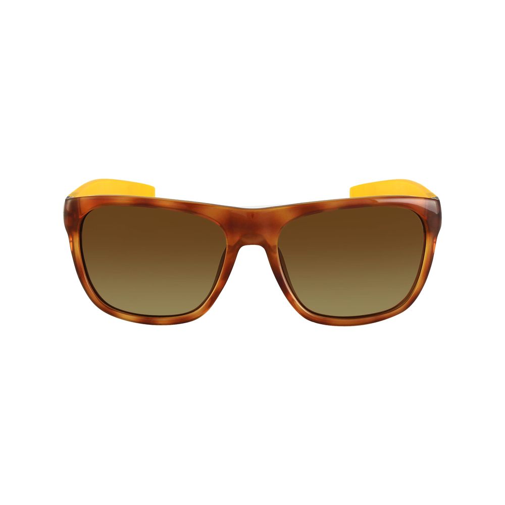 Lacoste brown injected sunglasses