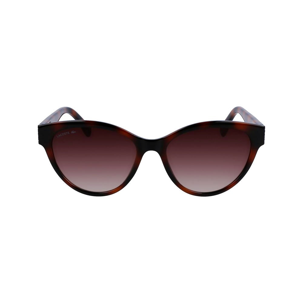 Lacoste brown injected sunglasses